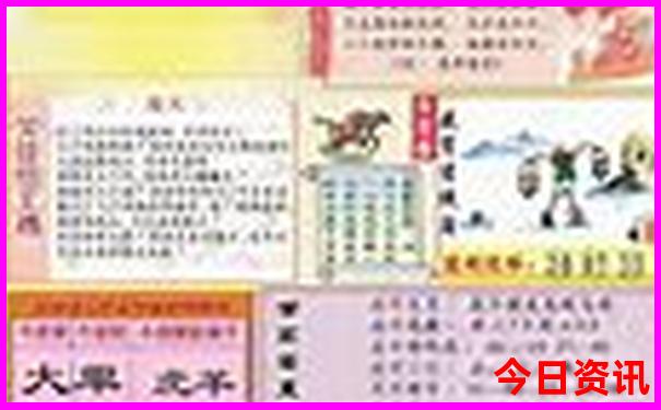 澳门8码中特最网